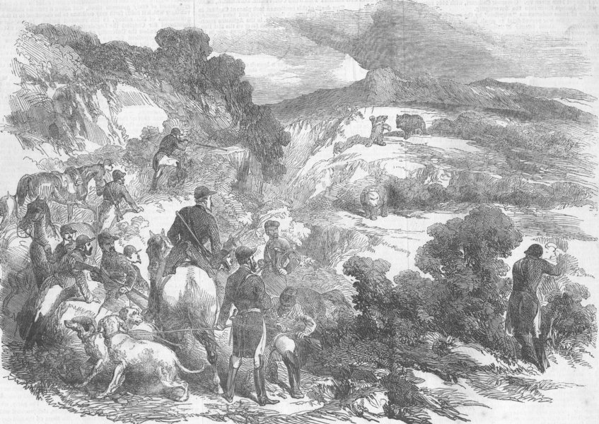Associate Product MOUNTAINS. Bear-Hunt in the Pyrenees, antique print, 1853