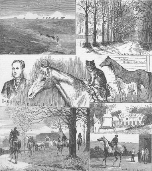 Associate Product WILTS. A day at the Russley Stables, antique print, 1881
