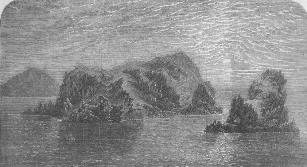 NEW ZEALAND. Islands of Antipodes, antique print, 1863