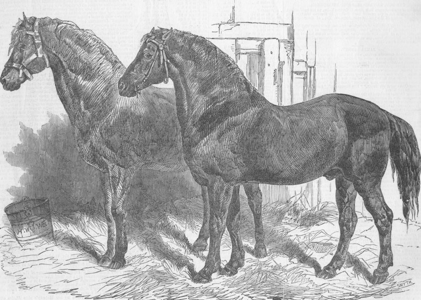 Associate Product FARMING. Horses for agricultural purpose, antique print, 1849