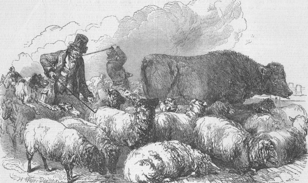 Associate Product LONDON. Smithfield Market-Sheep-drover’s goad, antique print, 1849