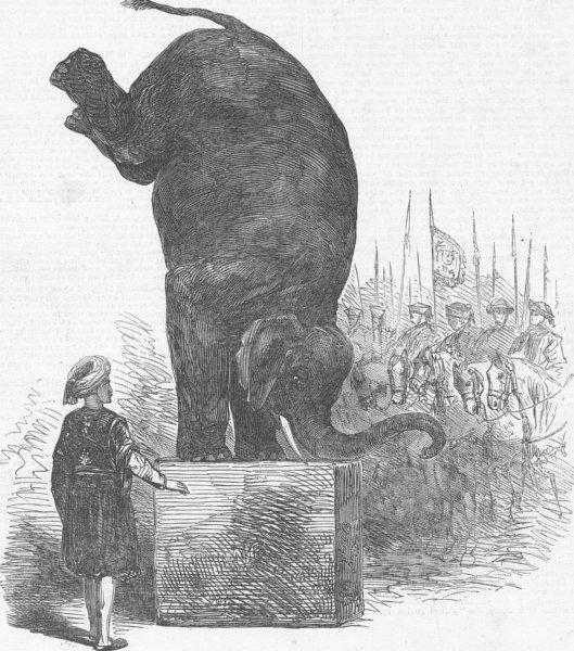 Associate Product CIRCUS. The elephant’s feat, Astley’s, antique print, 1853