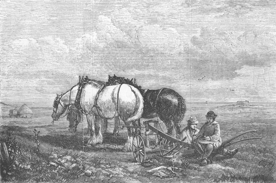 Associate Product HORSES. Art Exhibition. mid-day meal, antique print, 1856