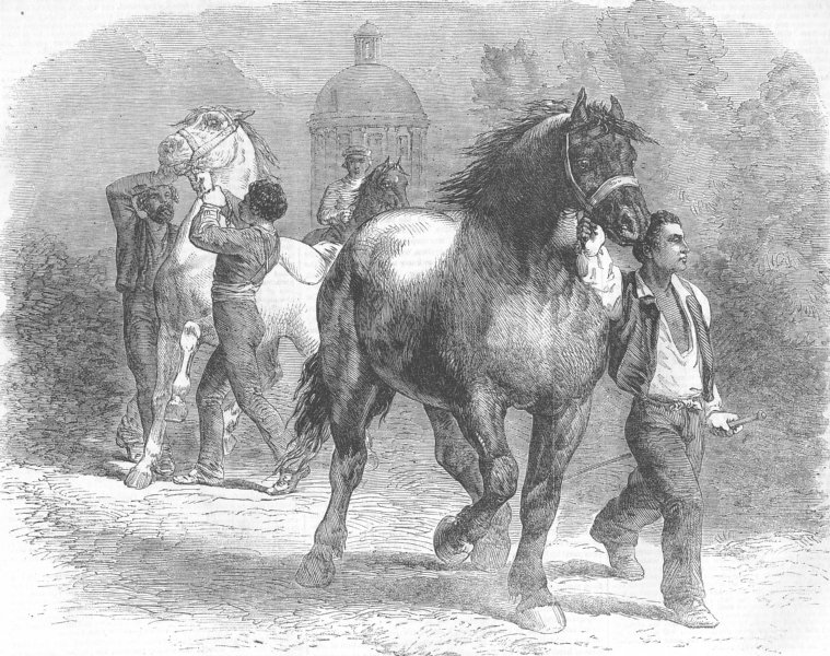 SOCIETY. Horse Fair by Rosa Bonheur. Sketch from, antique print, 1855