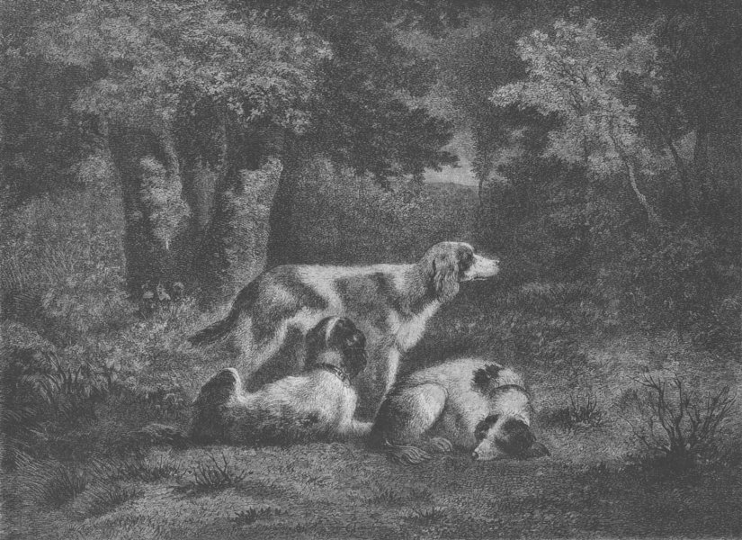 Associate Product LANDSCAPES. Dogs, forest by Diaz, antique print, 1855