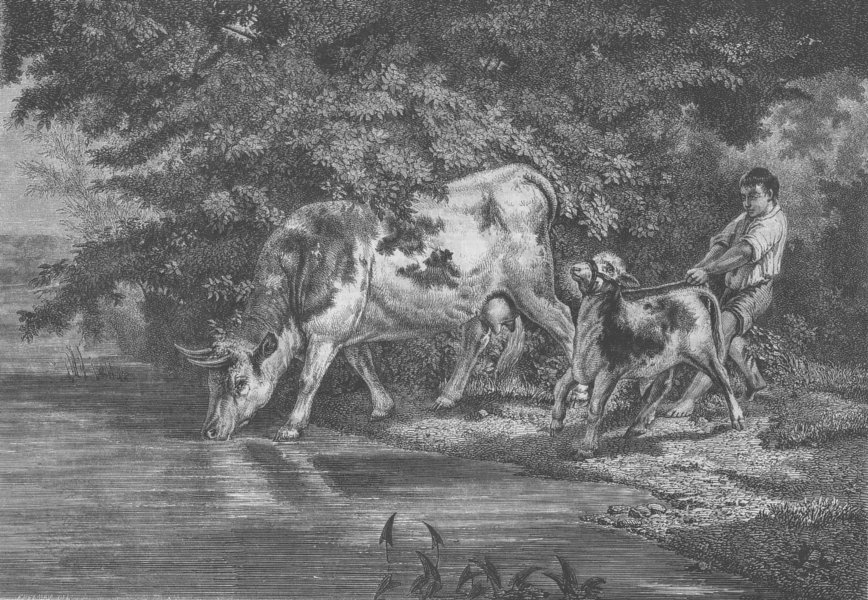 Associate Product COWS. Watering place. L’Abreuvoir, par Rosa Bonheur, antique print, 1855