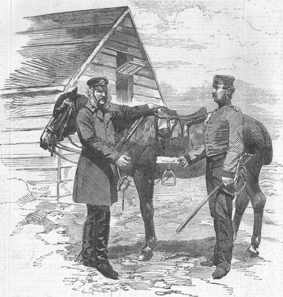 Associate Product HORSES. The Late Colonel Yea, antique print, 1855