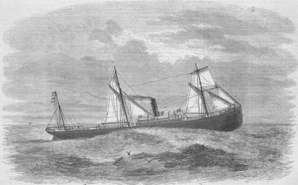 Associate Product BOATS. Praetoria, new cargo-carrying ship, antique print, 1877