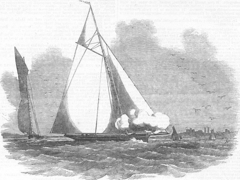 Associate Product SAILING. New sporting yacht, Rifleman, antique print, 1853