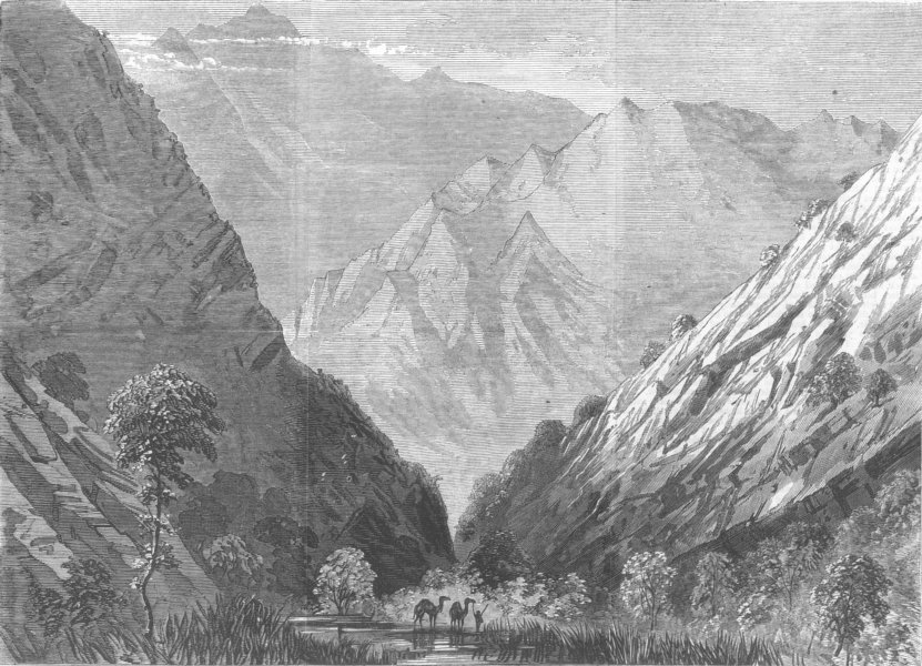 Associate Product ETHIOPIA. Abyssinia Expedition, Tubboo, Tekonda Pass, antique print, 1867