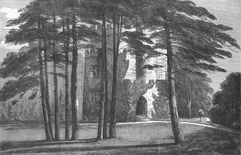 Associate Product SOMT. Castle de Sancto Laudo, Newton Park, Somerset, antique print, 1852