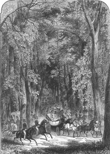 Associate Product SUSSEX. Road through Goodwood Park, antique print, 1844