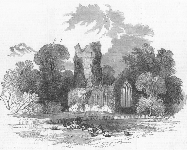 Associate Product IRELAND. Muckross Abbey, antique print, 1849