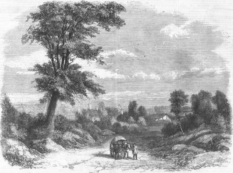 Associate Product BELGIUM. Wellington tree, Field of Waterloo, antique print, 1860