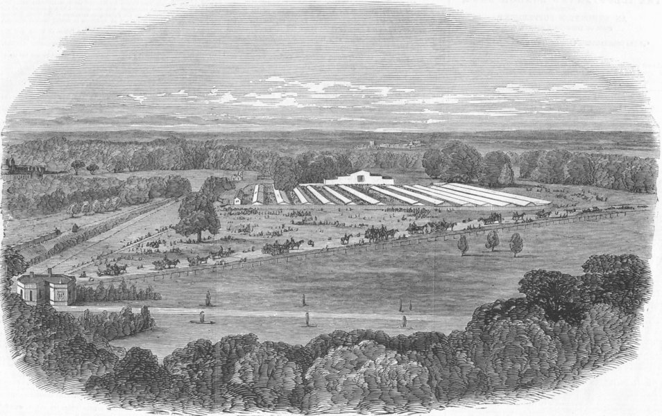 WINDSOR. Agricultural show from Castle, antique print, 1851