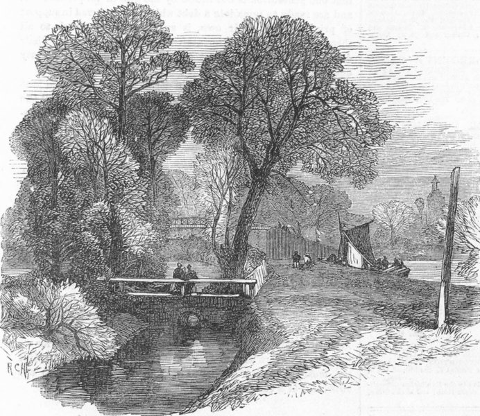 Associate Product SURREY. Angling. Breeding-Ponds, Sunbury, antique print, 1865