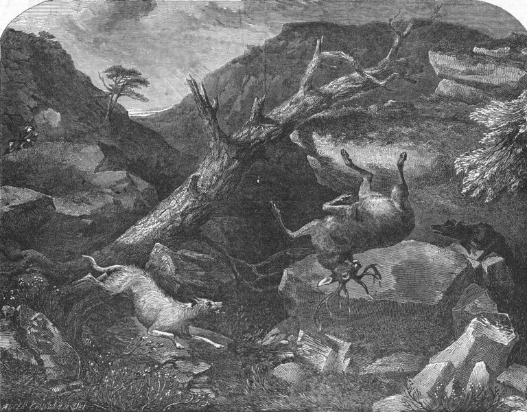 Associate Product HUNTING. Deer-Stalking-falling, antique print, 1849