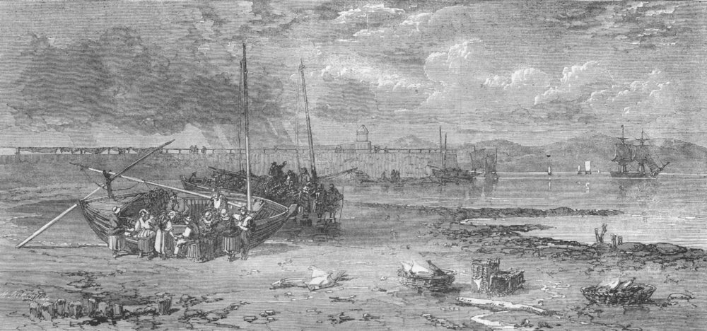 Associate Product SCOTLAND. Newhaven Pier. Fishing-Boats arrived, antique print, 1862