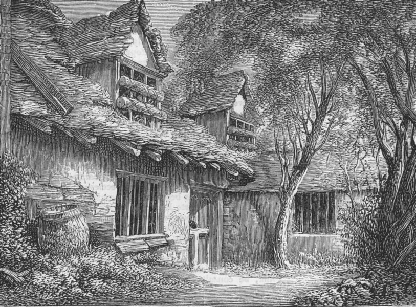 STEVENAGE. Elmwood House, lived, by Hermit, antique print, 1874