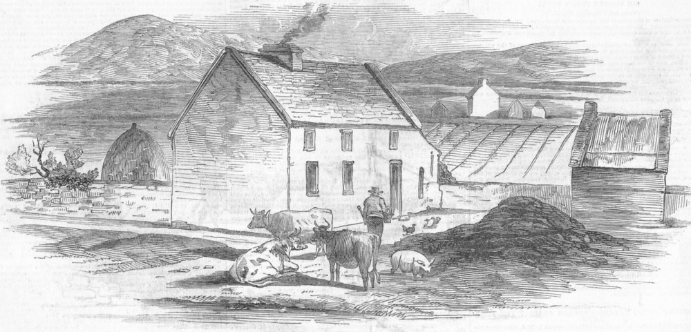 Associate Product IRELAND. Rynard, antique print, 1846