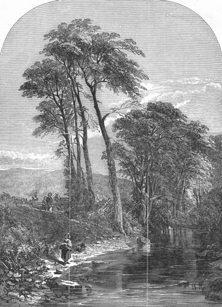 Associate Product FINE ARTS. The Moorland Stream, antique print, 1851