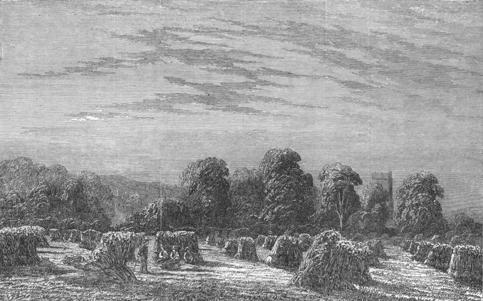 LANDSCAPES. A Corn-Field. Evening, antique print, 1851