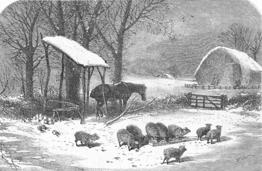 Associate Product ANIMALS. Winter, antique print, 1849