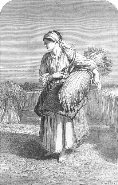 Associate Product PRETTY LADIES. Ruth, antique print, 1852
