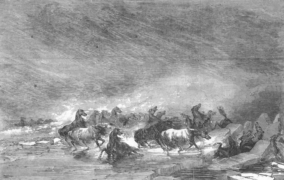 Associate Product UKRAINE. Horses of Crimea, winter storm, Black Sea, antique print, 1853