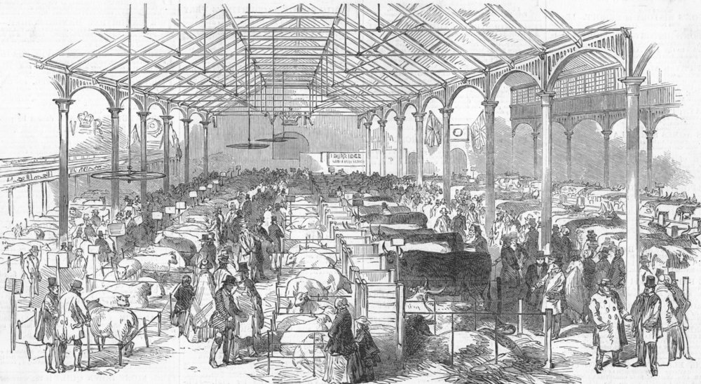 Associate Product WARCS. Farm show, Bingley Hall, Birmingham, antique print, 1850