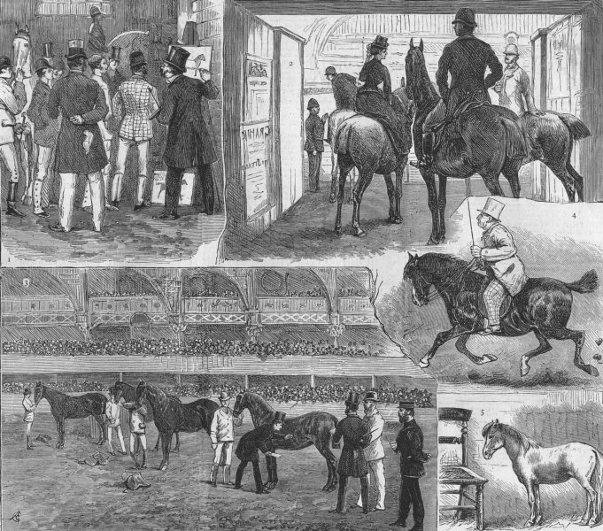 HORSES. The Metropolitan Horse-show, antique print, 1874