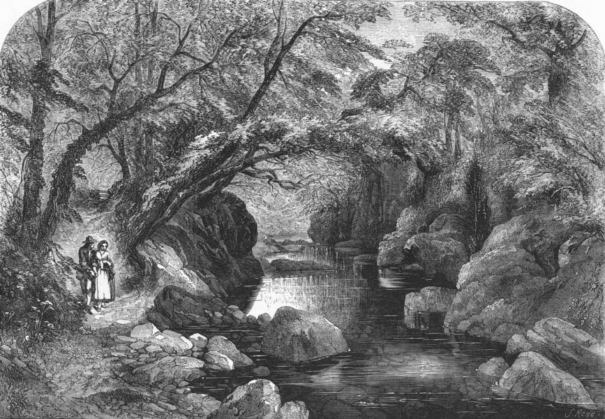 Associate Product RIVERS. The woodland stream, antique print, 1852