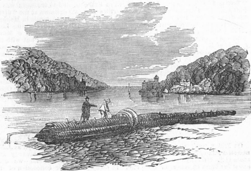 Associate Product DARTMOUTH. Mast(Presumed of Amazon)drifted ashore, antique print, 1852