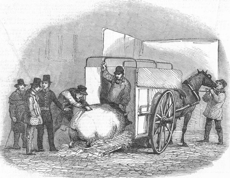 Associate Product FARMING. Uncarting Pig, antique print, 1849