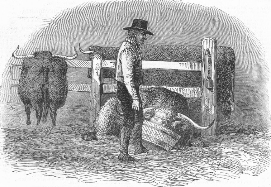 Associate Product FARMING. Feeding, antique print, 1849