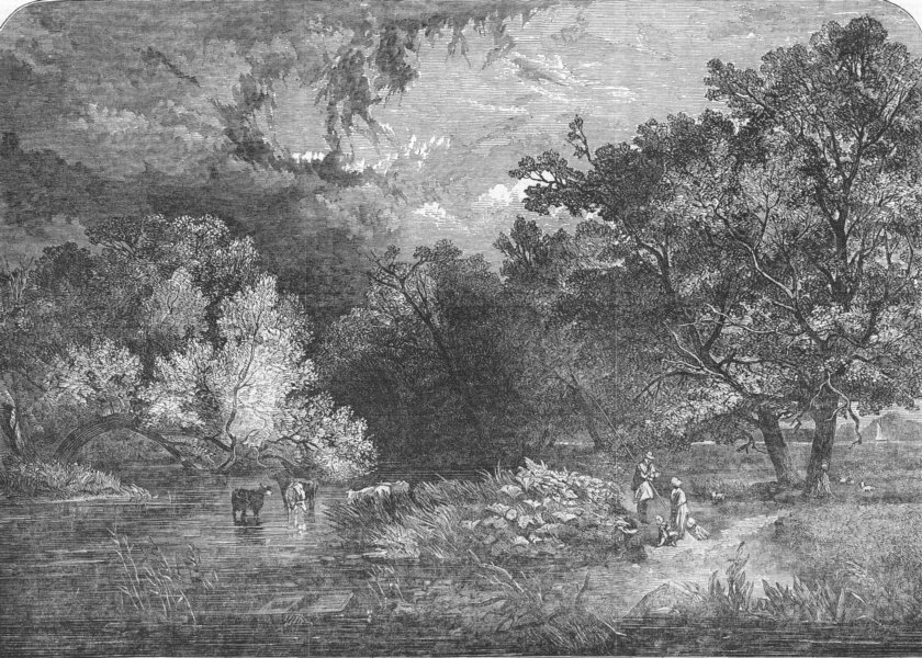 LANDSCAPES. A Woodland river, antique print, 1850