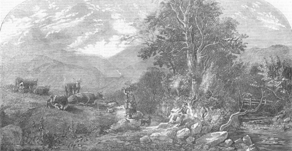 Associate Product LANDSCAPES. Landscape and cattle, antique print, 1859