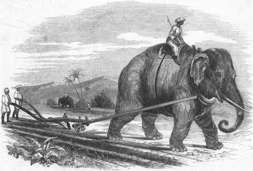 Associate Product ELEPHANTS. Elephant plough, sugar plantation, antique print, 1847