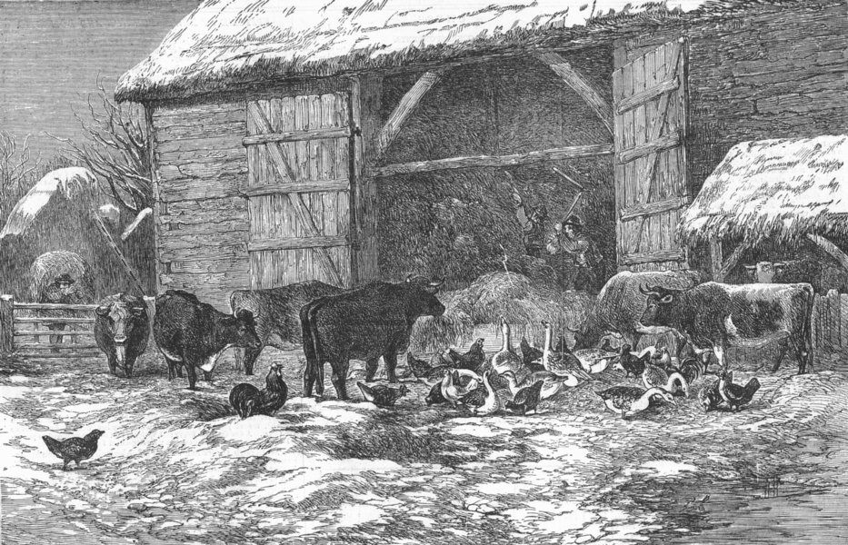 Associate Product ANIMALS. Farmyard in snow-time, antique print, 1855