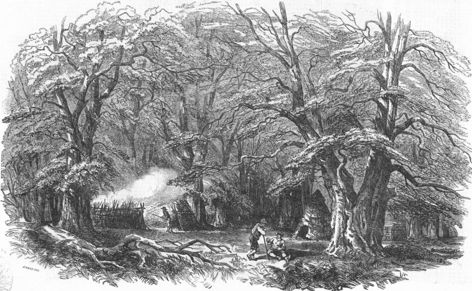 LANDSCAPES. Mark ash wood & charcoal burners, antique print, 1848