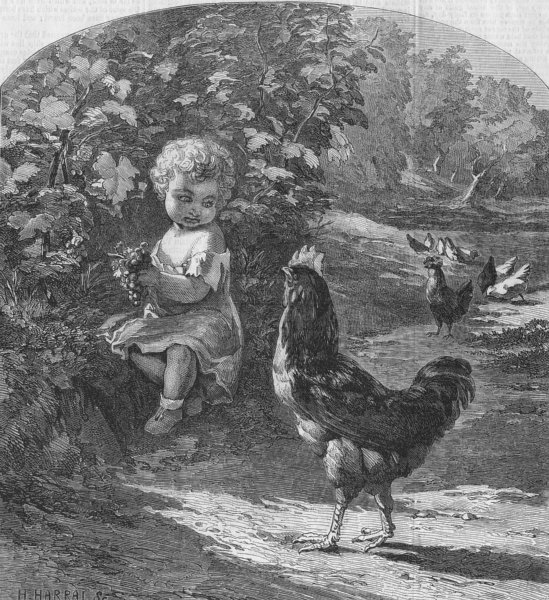 BIRDS. Covetousness, antique print, 1859