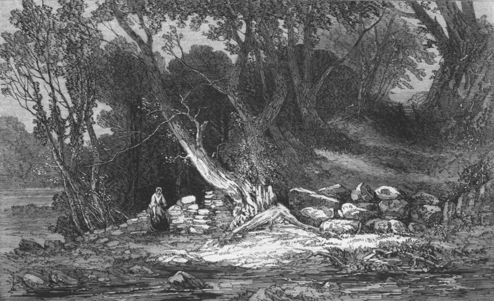LANDSCAPES. The Woodland glade, antique print, 1861