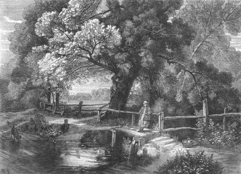 Associate Product LANDSCAPES. Foot Bridge, lane, antique print, 1863