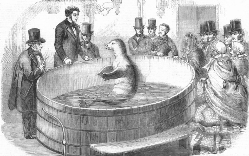 Associate Product LONDON. Talking & performing fish exhibited , antique print, 1859