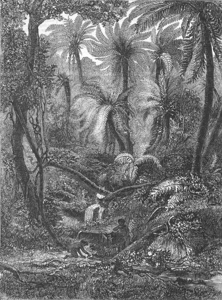 Associate Product AUSTRALIA. Fern-tree Gullet, Dandynong Ranges, antique print, 1856