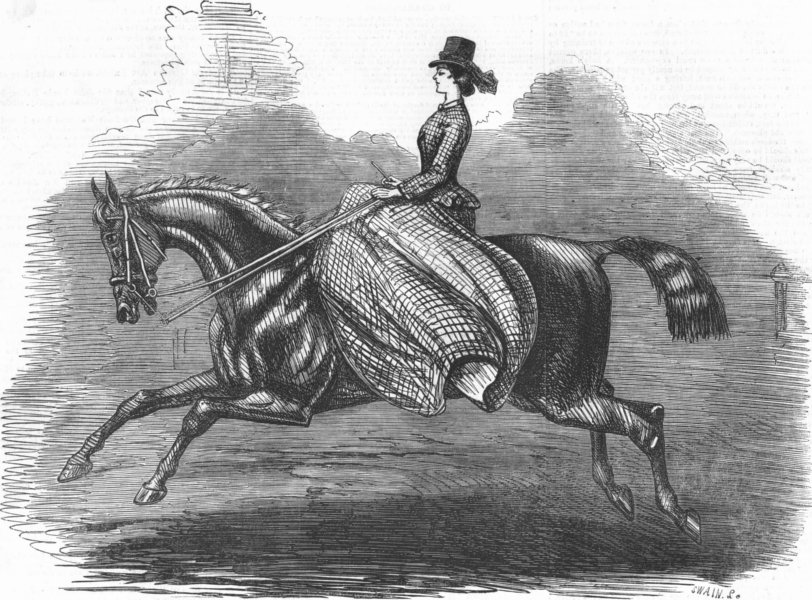 Associate Product PRETTY LADIES. Riding for-Miss Gilbert, antique print, 1858