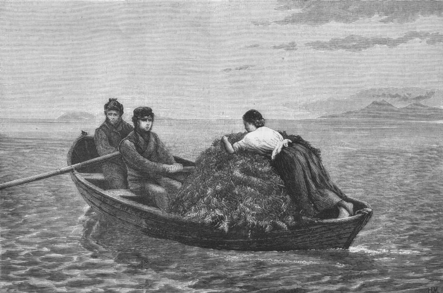 PORTRAITS. The bracken boat, antique print, 1869