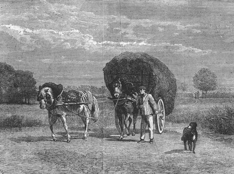 Associate Product FARMING. The Hay-cart, antique print, 1859