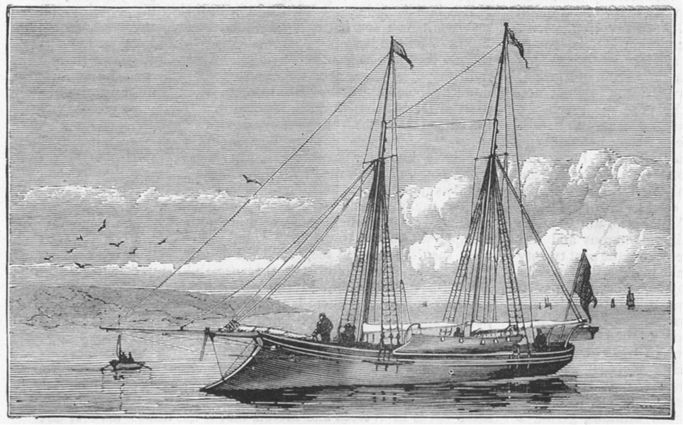 Associate Product SHIPS. The new yacht, Kala fish, antique print, 1873