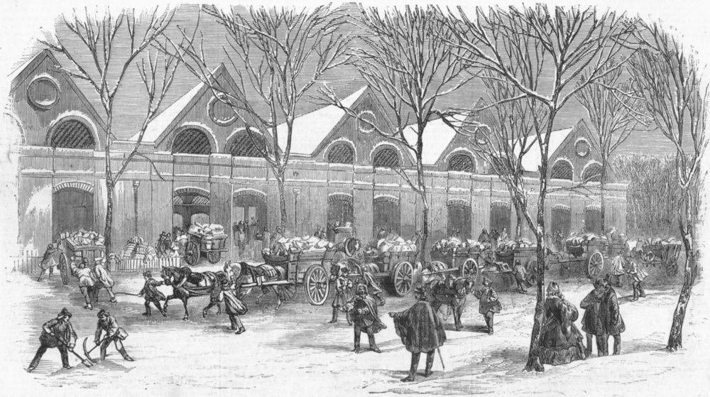 Associate Product FRANCE. New ice houses, Bois De Boulogne, antique print, 1860
